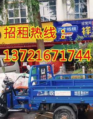 岳村中街1